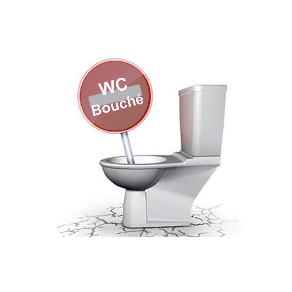 Déboucher les toilettes