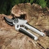 Sécateur à lame bypass