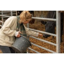 Aliments pour Démarrage