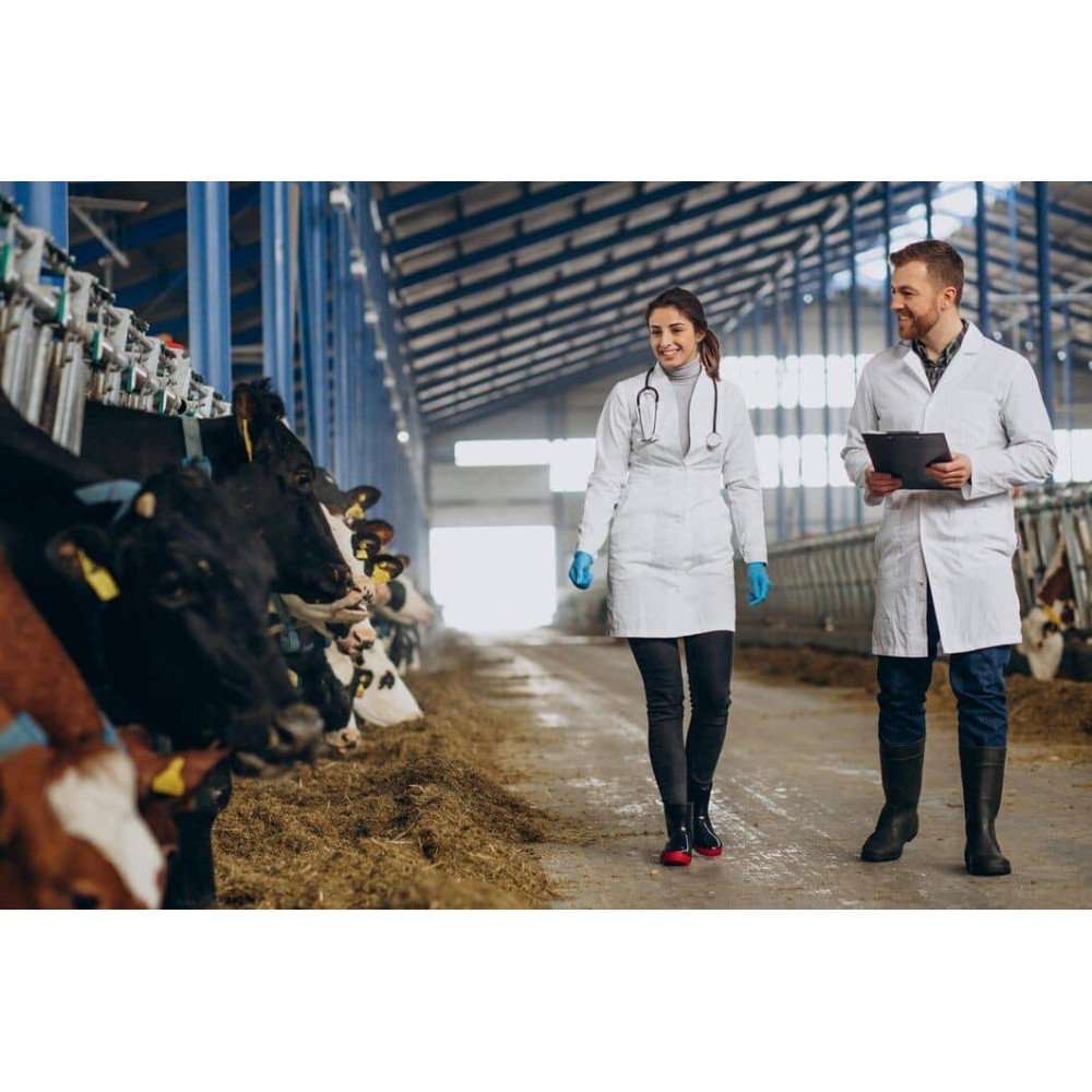 Compléments pour la Reproduction