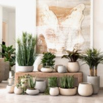 Vases et Plantes Artificielles