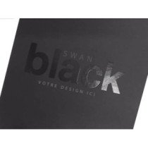 Vernis sélectif brillant