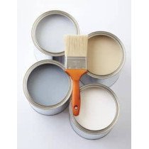 Traitement et peinture de façades