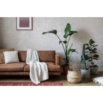 Rénovation Méridiennes et Banquettes