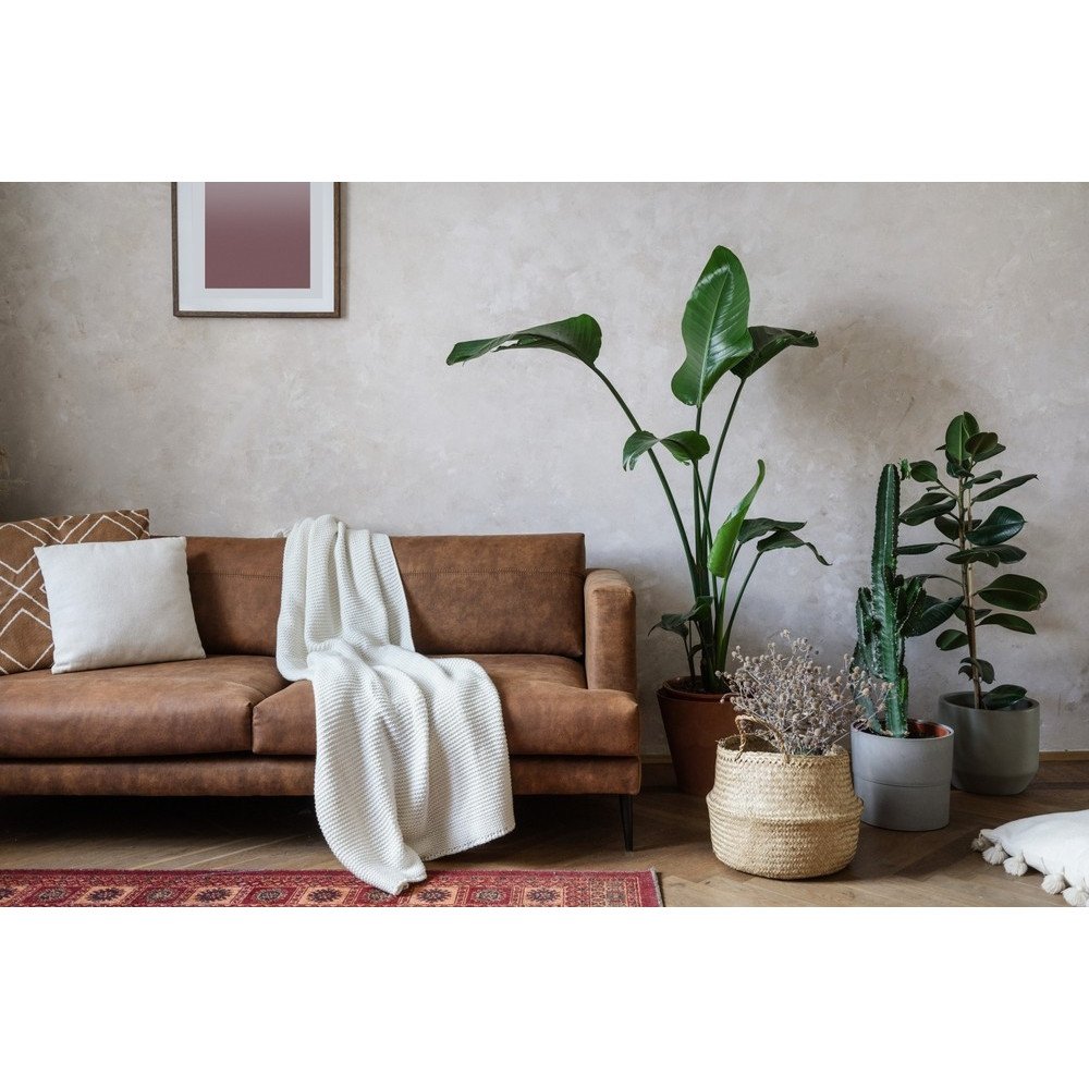 Rénovation Méridiennes et Banquettes