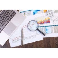 Analyse de la structure du capital