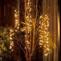 Tentes Pagodes Blanches avec Éclairage LED