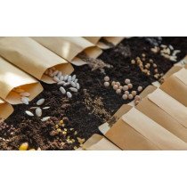 Semences Bio de Haute Qualité