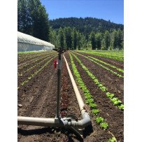 Systèmes d'Irrigation Économes en Eau