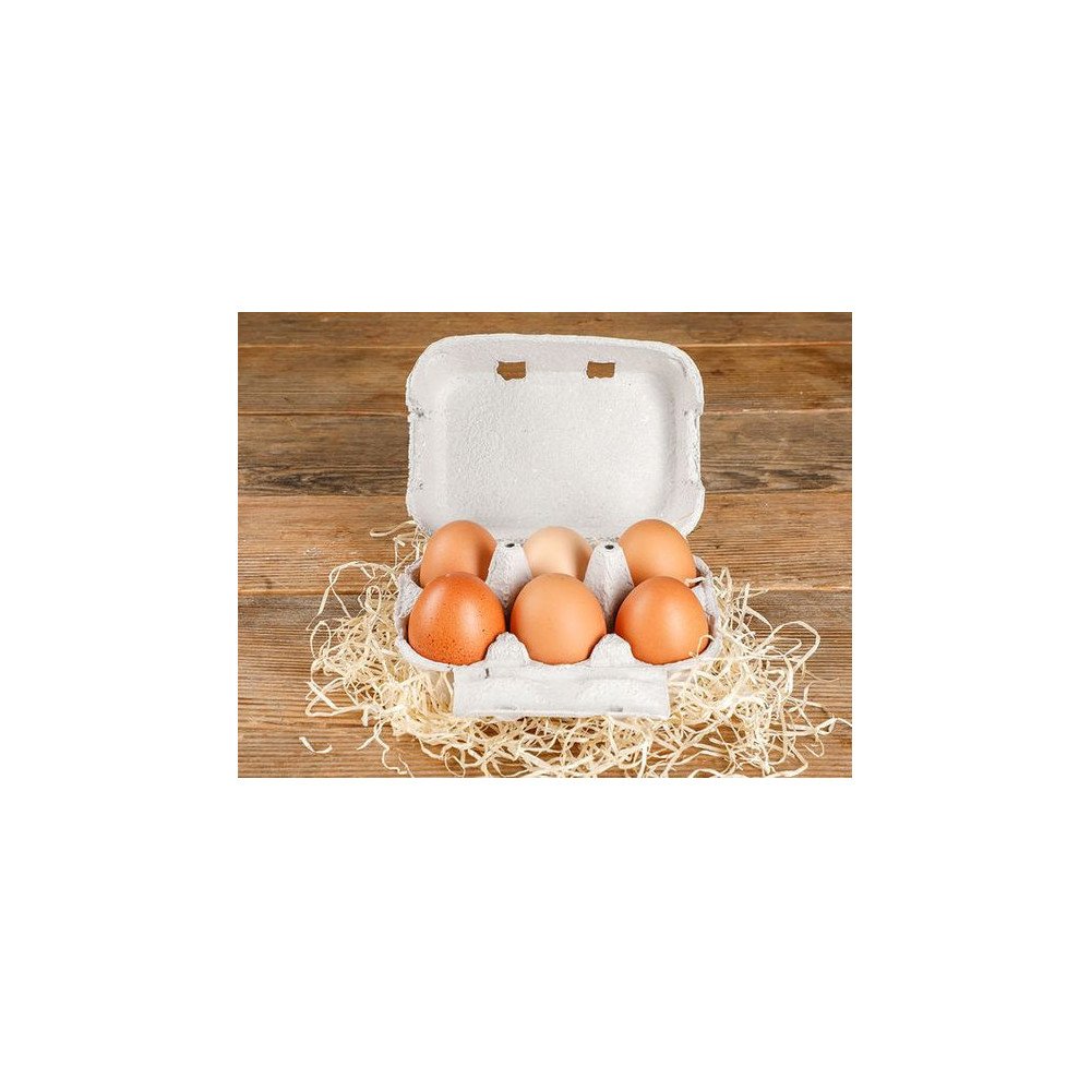 Œufs Enrichis en Oméga-3