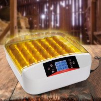 Incubateurs Automatiques