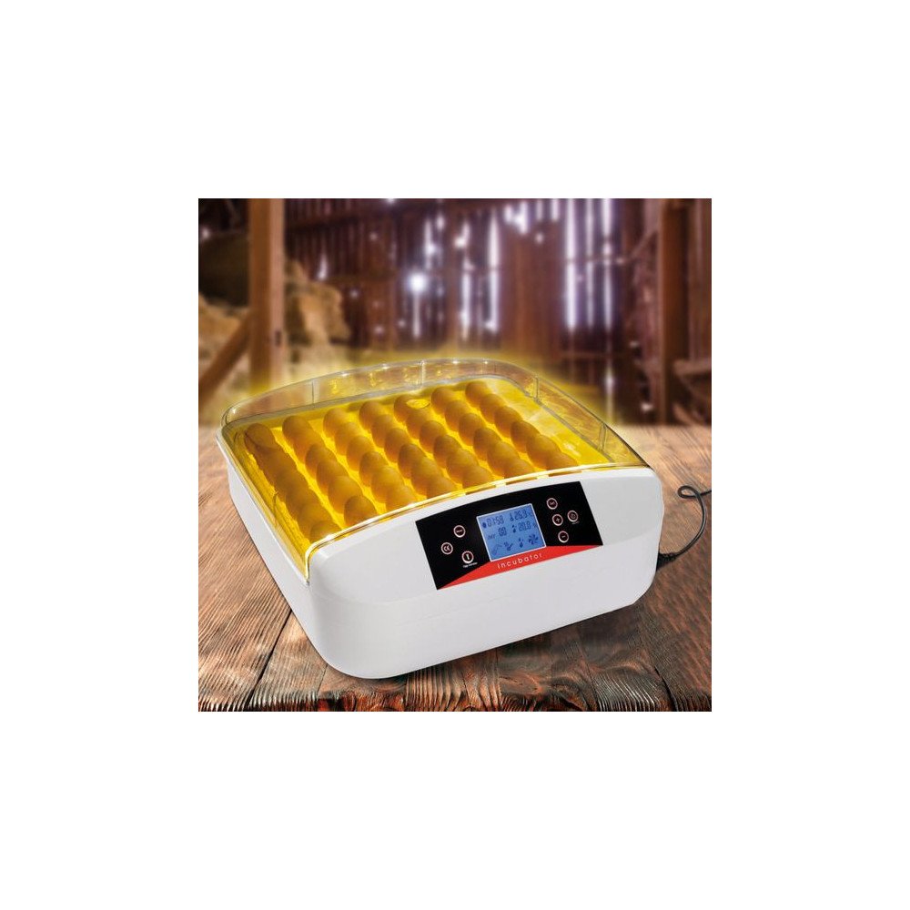 Incubateurs Automatiques