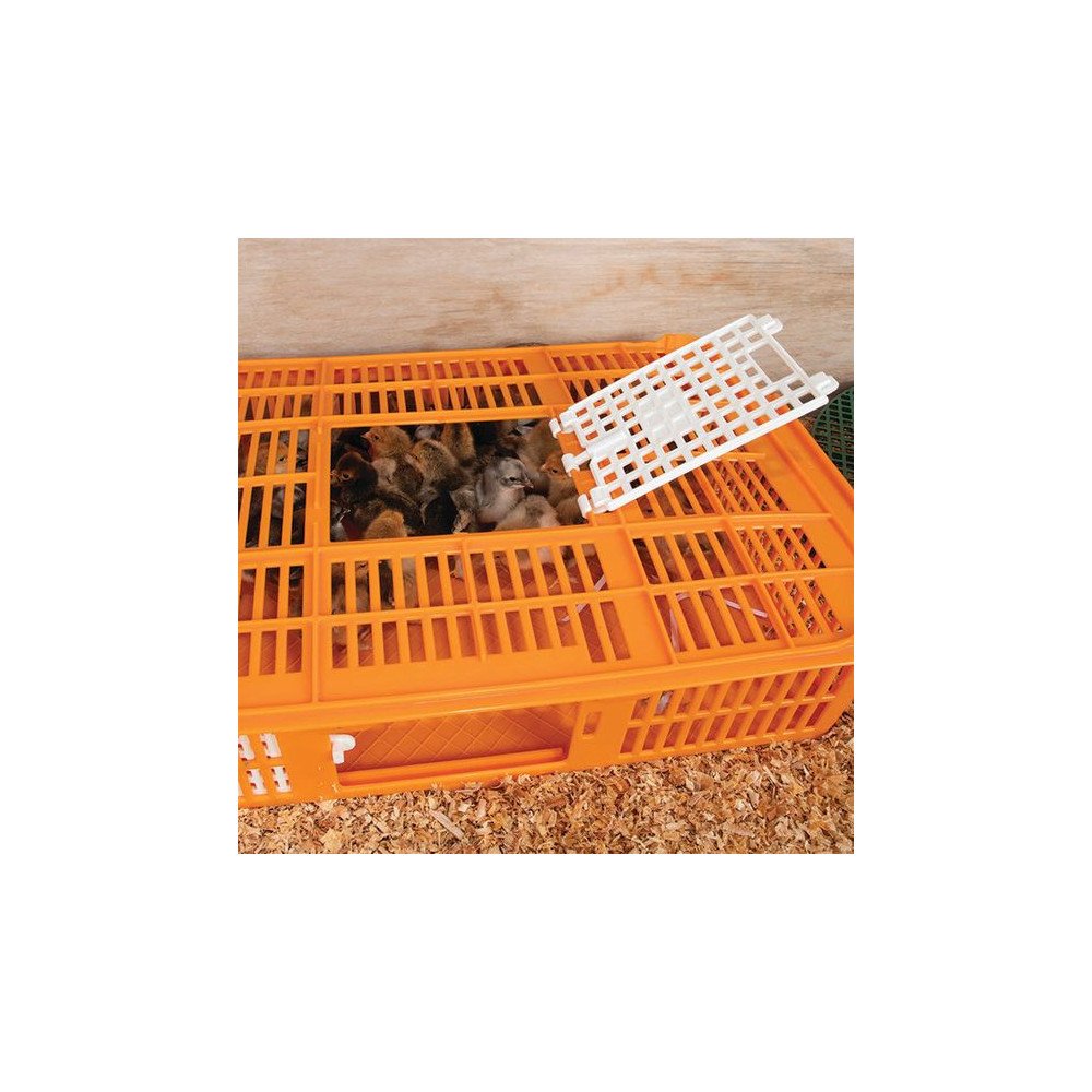 Couveuse de Transport pour Poussins