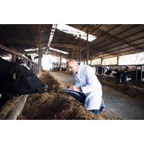 Services d'Insémination Artificielle