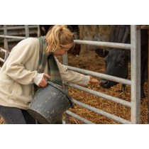 Aliments pour Démarrage
