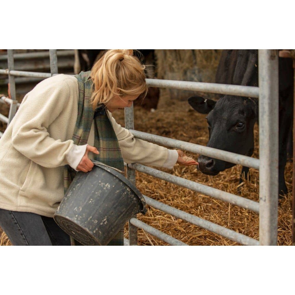 Aliments pour Démarrage