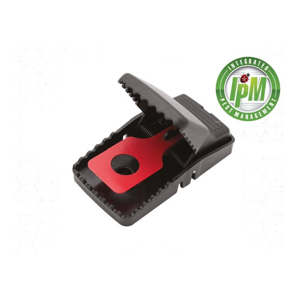 Tapette snap trap X 5