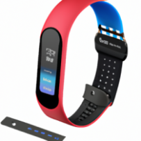 FitBand Pro