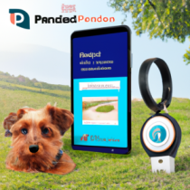 PetFinder GPS