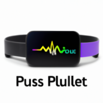 PulseFit Band